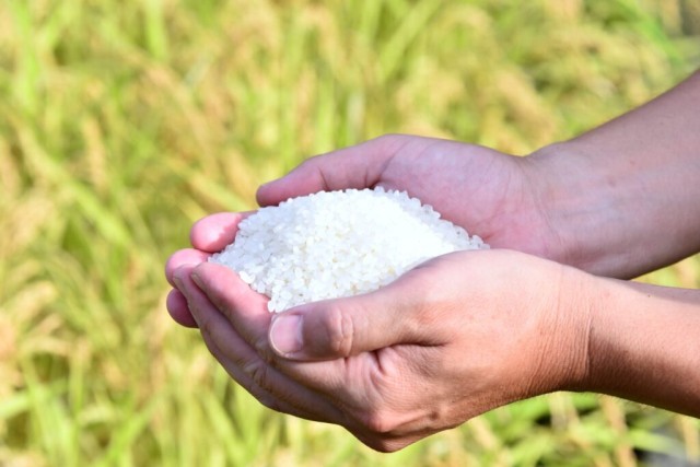 飛騨市産プレミアム米フェアin飛騨産直市そやな